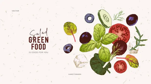 Handritade Illustrationer Skivad Tomat Gurka Oliver Fetaost Och Bladgrönsaker Salladsingredienser — Stock vektor