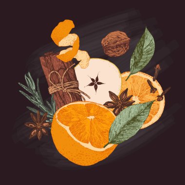 Elle çizilmiş şarap malzemeleri, mevsimlik yemek çizimleri.