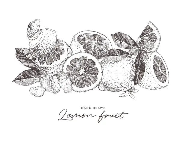 Handritad Citronfrukt Skivad Med Blad Och Blommor Botanisk Illustration Mogen — Stock vektor