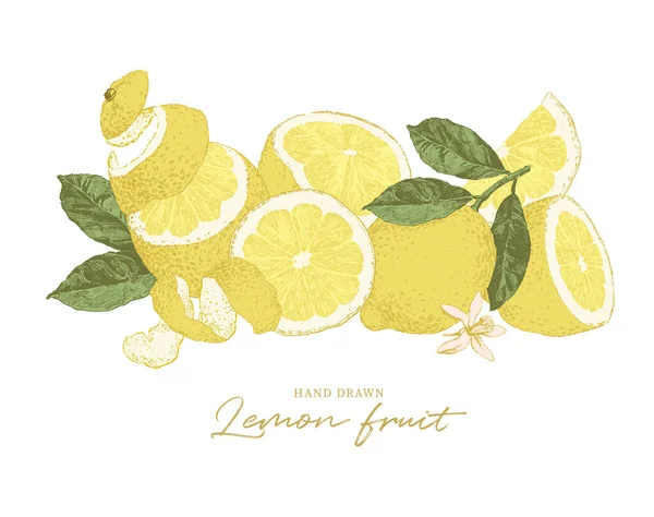 Handritad Citronfrukt Skivad Med Blad Och Blommor Botanisk Illustration Mogen — Stock vektor