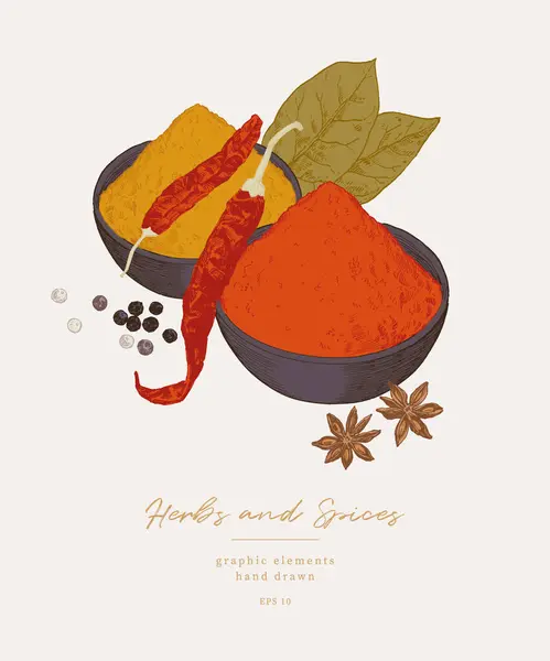 Ilustraciones Hechas Mano Especias Hierbas Culinarias Elementos Gráficos Para Diseño — Archivo Imágenes Vectoriales