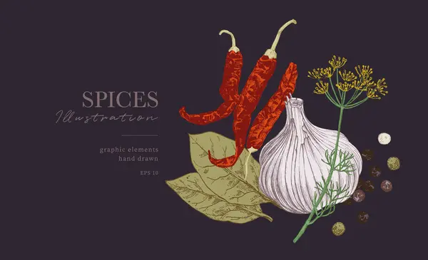 Ilustración Alimentos Especias Dibujadas Mano Cartel Culinario Chiles Secos Ajo — Archivo Imágenes Vectoriales