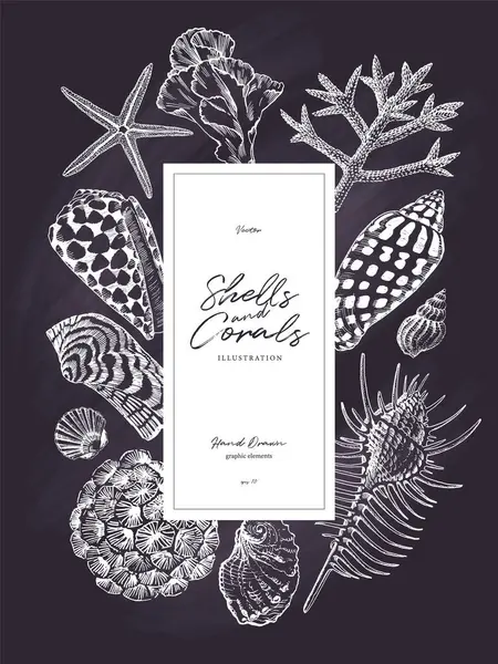 Tiza Negra Con Dibujos Conchas Marinas Corales Diseño Frontera Banner — Archivo Imágenes Vectoriales