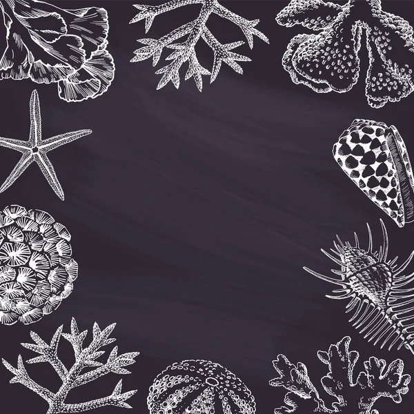 用贝壳和珊瑚画的黑色黑板 边框设计 夏季插图横幅 图库矢量图片