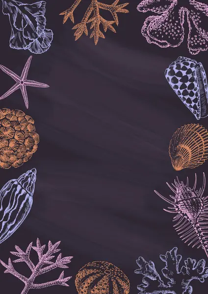 用贝壳和珊瑚画的黑色黑板 边框设计 夏季插图横幅 免版税图库插图