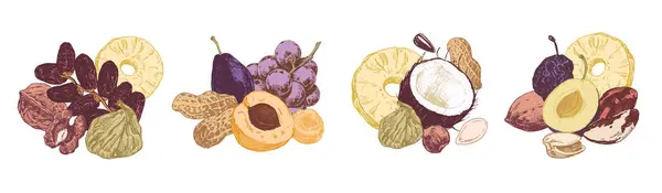 Ποικιλίες Ξηρών Καρπών Και Αποξηραμένων Φρούτων Ομάδες Χειροποίητες Απεικονίσεις Πρότυπα — Διανυσματικό Αρχείο