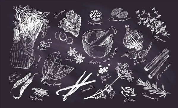 人気のハーブやスパイスの手描きコレクション 料理本とキッチンの装飾のための料理ポスター ブラックチョークボード図 ヴィンテージエッチングスタイル ロイヤリティフリーのストックイラスト
