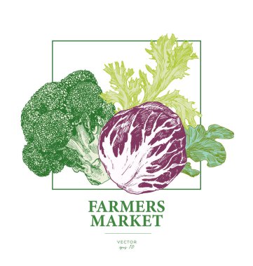 El yapımı lahana ve marul. İşlenmiş stil grafik elementler. Çiftçi pazarı sebze posteri