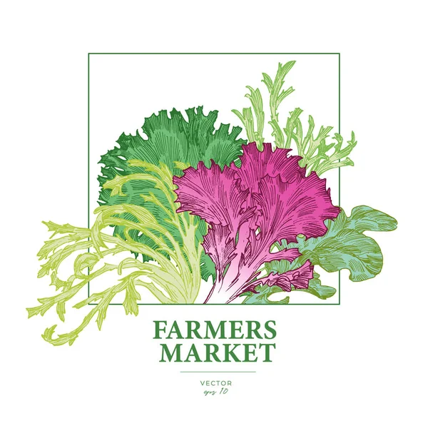 Handritade Salladsblad Graverade Grafiska Element Affisch Grönsaksmarknaden För Jordbrukare Royaltyfria illustrationer