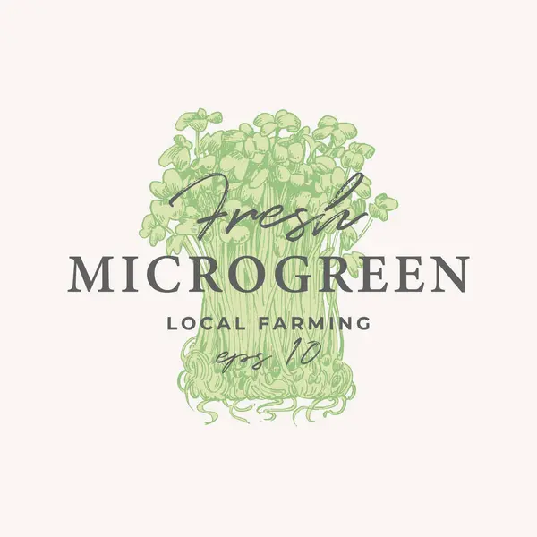 Microgreens Gegraveerde Illustratie Ontwerp Van Een Plantaardig Embleem — Stockvector