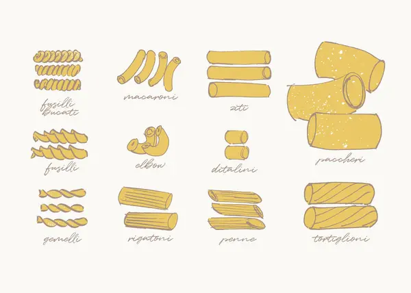 不同面食类型 管状和扭曲面食品种的抽象草图 免版税图库插图