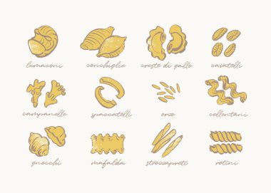 Sketchy drawing of different pasta types, hand drawn pasta guide clipart