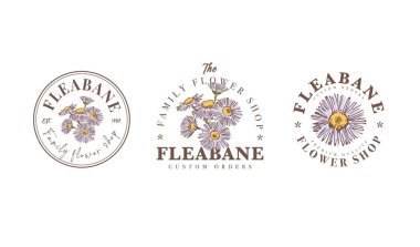 Logo şablonları, çiçekçi tasarım elementi, elle çizilmiş pire bitkisi çizimi