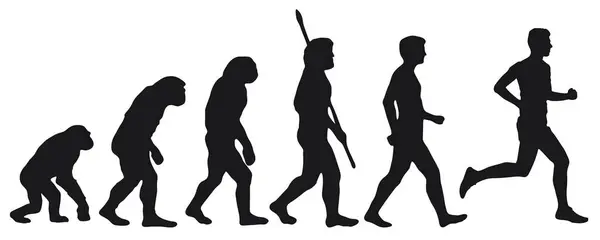 Evolutie Van Mens Van Darwin Naar Loper Silhouetten Met Verschillende Rechtenvrije Stockillustraties