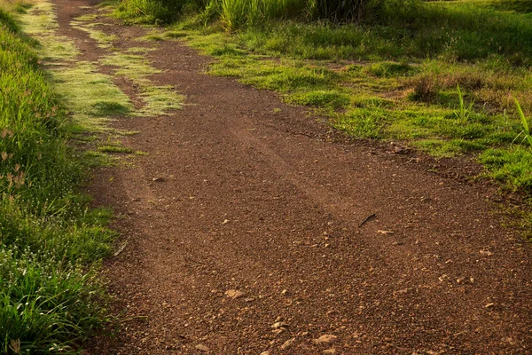 Yol Kenarında Çimen Büyüyen Kır Yolu Arka Plan — Stok fotoğraf