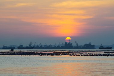 CHONBURI, THAILAND - 30 OCT: 30 Ekim 2022, Siracha, Chonburi, Tayland