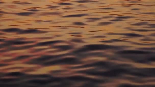 Vibrerande Havssurf Med Solnedgång Ljus Reflektion — Stockvideo