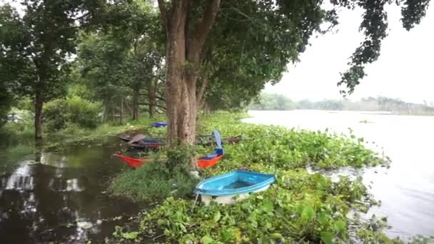 Group Small Boat Moored Lake Tree Raining Panning Shot — Video