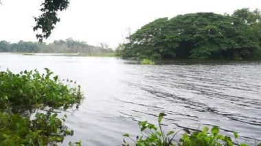 Beyaz bulutlu gökyüzü ile gölün ortasındaki adada ağaç