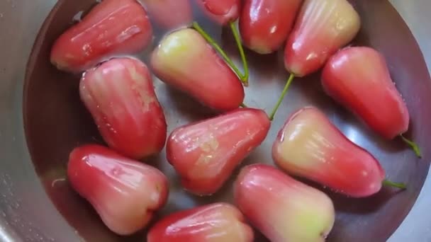 新鲜的玫瑰苹果用水槽洗 — 图库视频影像