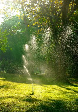 Sprinkler splashing water to meadow, Garden maintenance