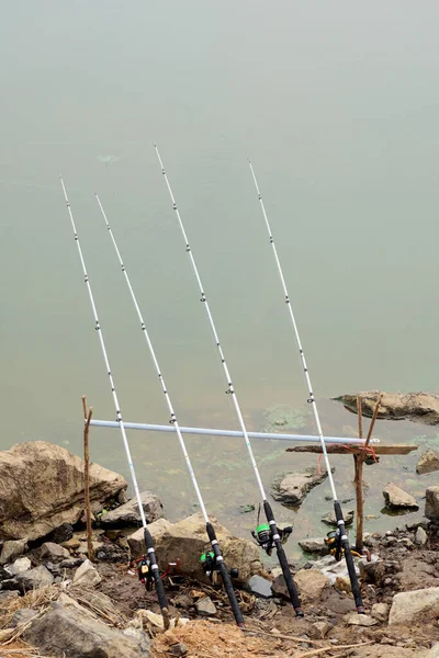 湖の横の釣竿のグループ — ストック写真