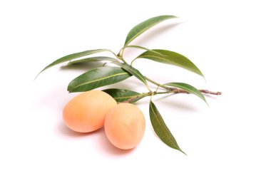 Beyaz arkaplanda yalıtılmış Marian erik meyvesi