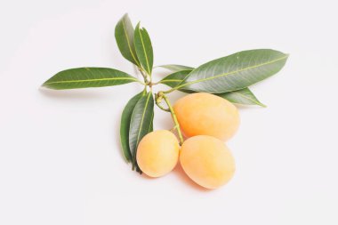 Beyaz arkaplanda yalıtılmış Marian erik meyvesi