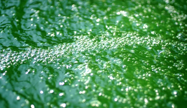 Bolhas Água Verde Com Flor Algas — Fotografia de Stock