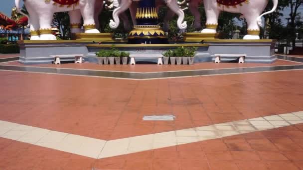 Chonburi Thailandia Maggio Inclinazione Della Statua Dell Elefante Bianco Maggio — Video Stock