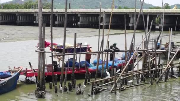Chonburi Thaïlande Mai Pêcheur Filet Pêche Bateau Mai 2023 Chonburi — Video
