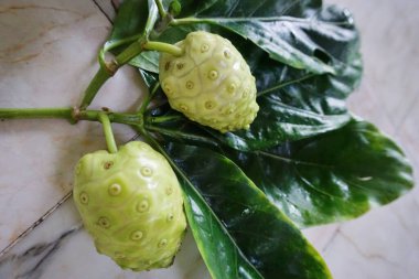 Masada yapraklı noni meyvesi, yakın çekim.