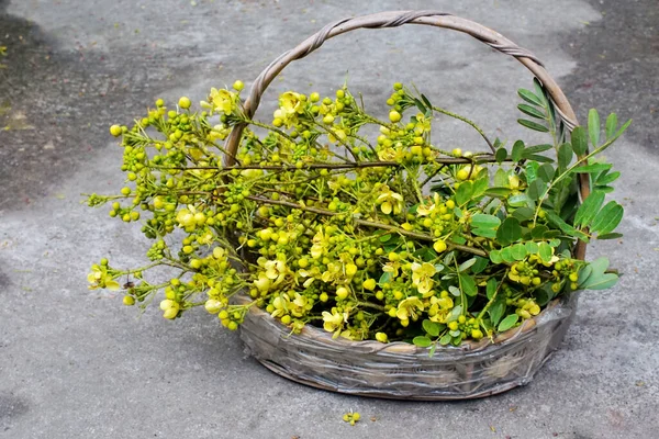 Cassia flower in basket, Harvest flower for cooking