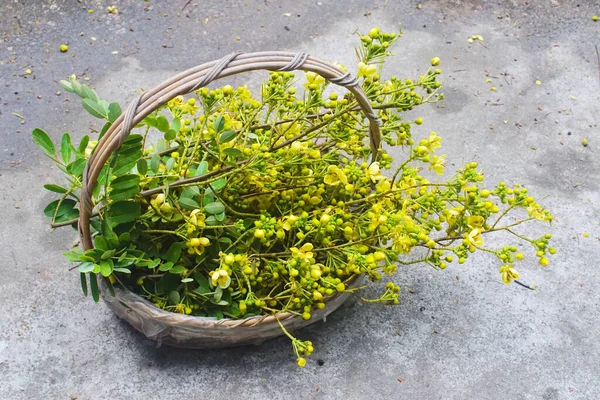 Cassia flower in basket, Harvest flower for cooking
