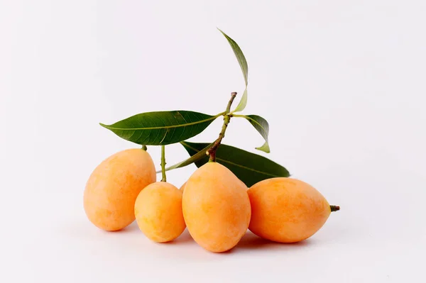 Fruit Prune Mariale Isolé Sur Blanc — Photo