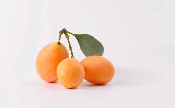 Fruit Prune Mariale Isolé Sur Blanc — Photo