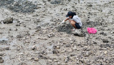 CHONBURI, THAILAND - 11 HAZİRAN: 11 Haziran 2023 tarihinde Siracha, Chonburi, Tayland 'da deniz kabuğu kazan kadın