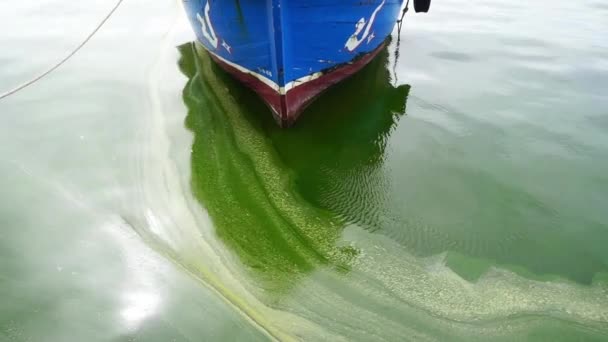 Chonburi Thailand Sep Plankton Blommar Till Havs Med Fiskebåt Bakgrund Royaltyfri Stockvideo