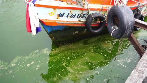 Chonburi Thailand Sep 2023年9月7日在泰国淳布里的Si Racha 有渔船背景的浮游植物在海上盛开 — 图库视频影像