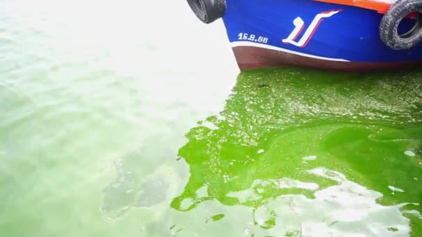 Chonburi Thailand Sep Plankton Blommar Till Havs Med Fiskebåt Bakgrund — Stockvideo