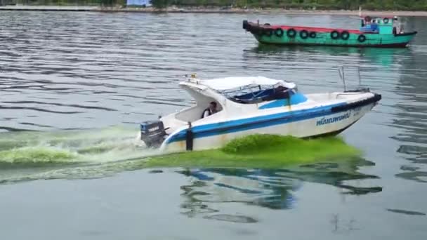 チョンブリ Thailand Sep スピードボートは プランクトンで満たされた海に向かって航行します 2023 シラチャで チョンブリ — ストック動画