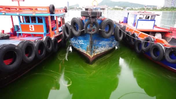 Chonburi Thaïlande Sep Floraison Plancton Mer Avec Fond Amarrage Bateaux — Video