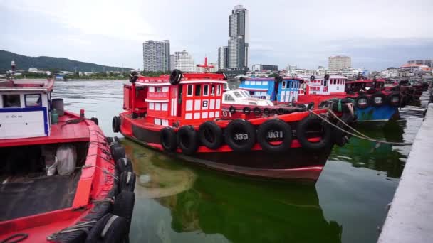 Chonburi Thailand Sep Plankton Bloom Mooring Port Plankton Bloom Sea — Stok Video