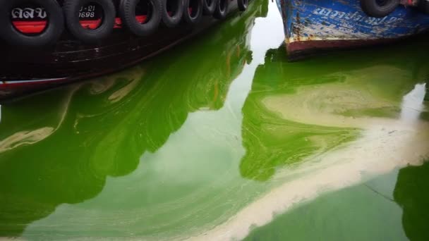 Chonburi Tajlandia Sep Plankton Kwitnie Morzu Łodzią Rybacką Tle Września — Wideo stockowe