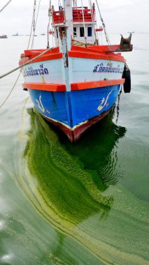 CHONBURI, THAILAND - 7 SEP: 7 Eylül 2023 tarihinde Si racha, Chonburi, Tayland 'da balıkçı teknesi geçmişi ile planktonlar çiçek açtı