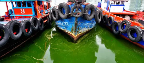 Chonburi Tailandia Sep Plancton Florece Mar Con Fondo Del Barco — Foto de Stock