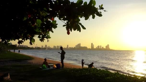 Pattaya Tajlandia Listopada Rodzinny Wypoczynek Plaży Listopada 2023 Roku Krating Wideo Stockowe bez tantiem