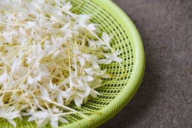 Sepette çiçek toplayın, mantar ağacı çiçeği çiçek çayı yapın.