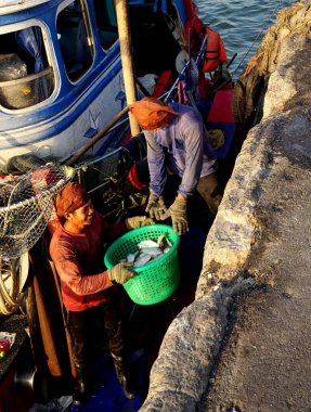 CHONBURI, THAILAND - 8 HAZİRAN: balıkçı tekneleri sepetleri dolusu balığı 8 Ocak 2024 'te Si racha, Chonburi, Tayland' daki iskeleye taşıdılar.