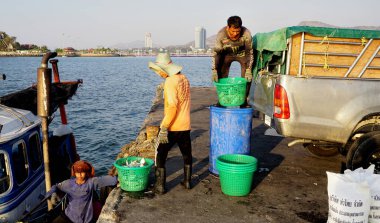 CHONBURI, THAILAND - 8 HAZİRAN: Balıkçı teknelerindeki işçiler 8 Ocak 2024 'te Si racha, Chonburi, Tayland' da balık dolu sepetleri kamyona taşıyorlar